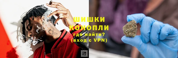 индика Зеленодольск