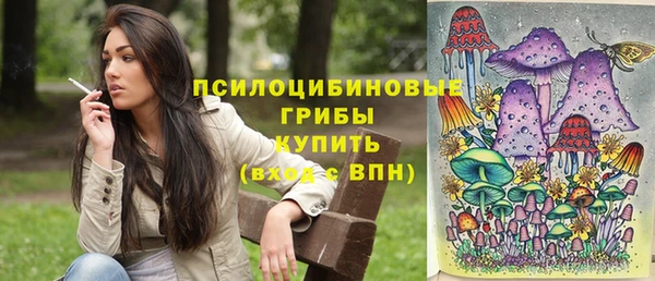 индика Зеленодольск