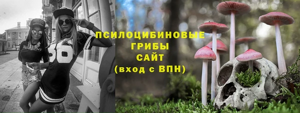 apvp Заводоуковск