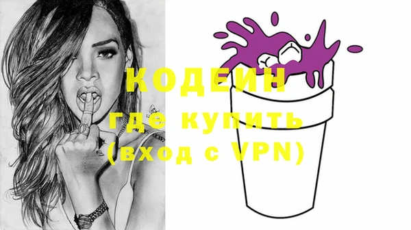 индика Зеленодольск