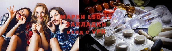 индика Зеленодольск