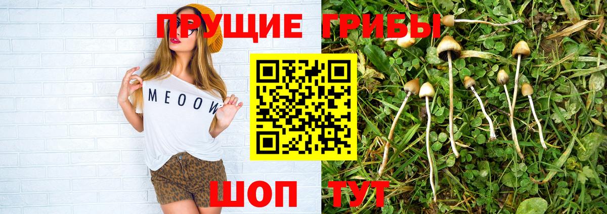 Псилоцибиновые грибы Cubensis  Вход с VPN  Лангепас 